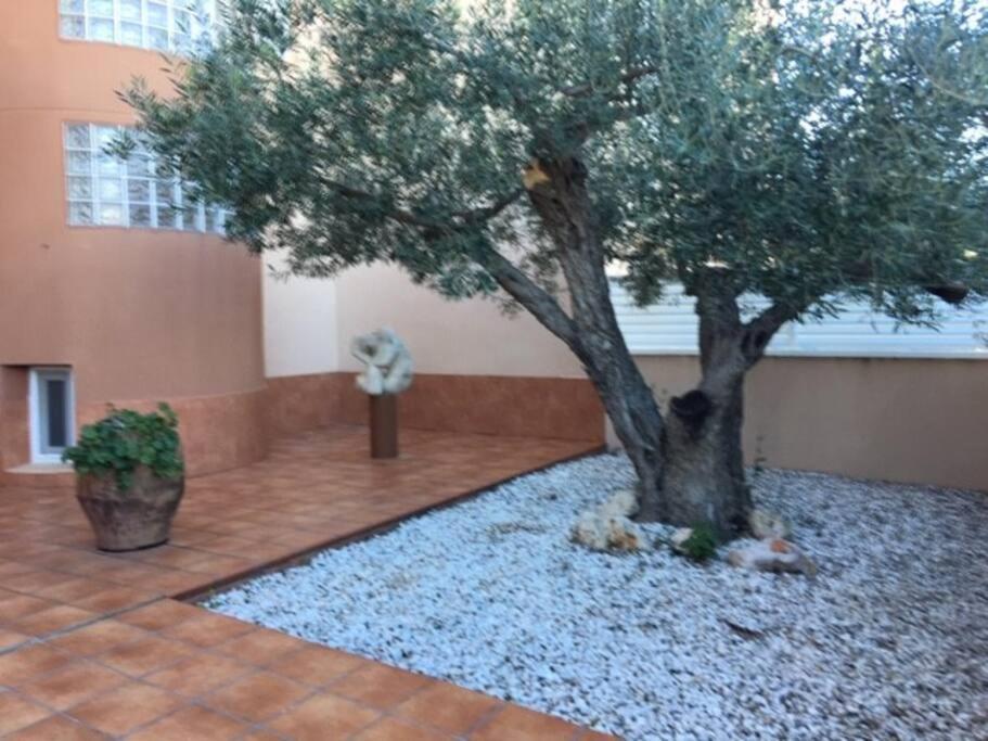 Apartmán Preciosas Vistas Al Mar Y Montana En La Ampolla L'Ampolla Exteriér fotografie